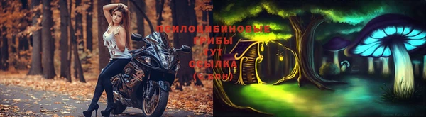 гидра Балахна