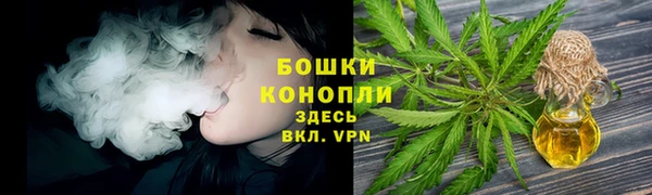ГАЛЛЮЦИНОГЕННЫЕ ГРИБЫ Белоозёрский