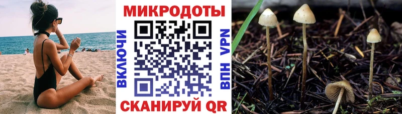 Псилоцибиновые грибы Cubensis  Златоуст 